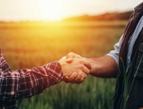 Hiring Advice from Veterans to Employers 